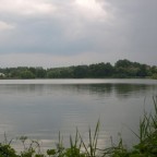 See