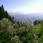 Allgäu
