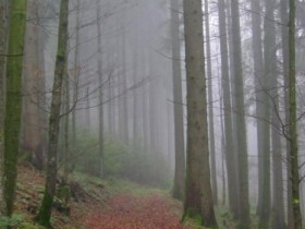 Allgäu
