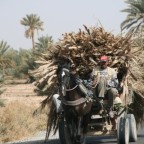 Marocco