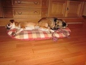 Nikki und Clara