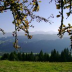 Allgäu