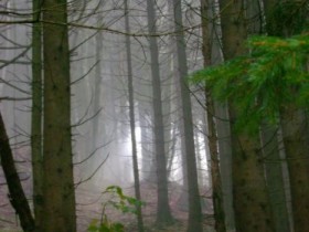 Allgäu