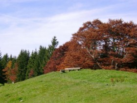 Allgäu