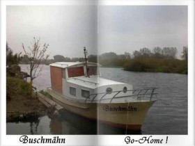 Buschmähn