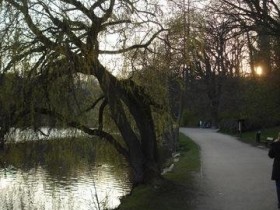Außenmühle 5