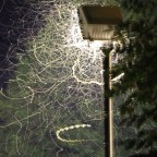 Vor dem Gewitter - Mücken vor einer Lampe