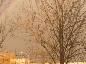 Regenbogen
