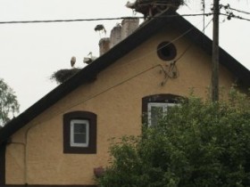 Warmia / Mazury - Storchenland
