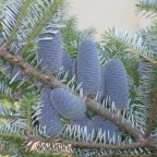 Weihnachten