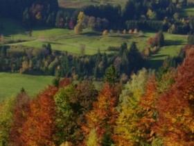 Allgäu