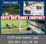 0125-bad-banks.jpg