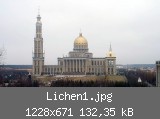 Lichen1.jpg