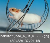 hamster_rad_4_DW_Wi_760996g.jpg