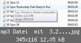 mp3 Datei  mit  3.21 MB.jpg