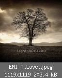 EMI T.Love.jpeg