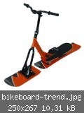 bikeboard-trend.jpg