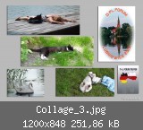 Collage_3.jpg