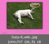 Suzy-Q.web.jpg