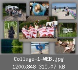 Collage-1-WEB.jpg