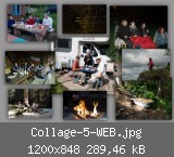 Collage-5-WEB.jpg