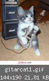 gitarcat1.gif