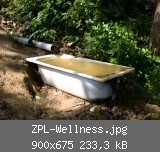 ZPL-Wellness.jpg